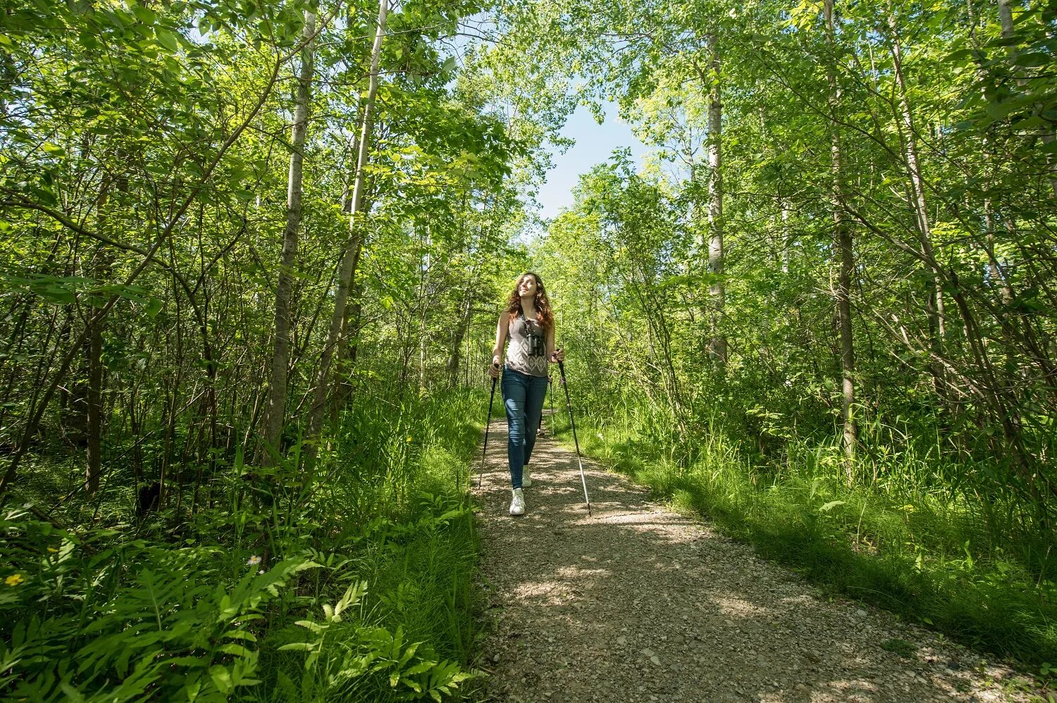 Прогулка в лесу. Лесная прогулка. Фотосессия в лесу. Прогулка в летнем лесу. Полненькую в лесу