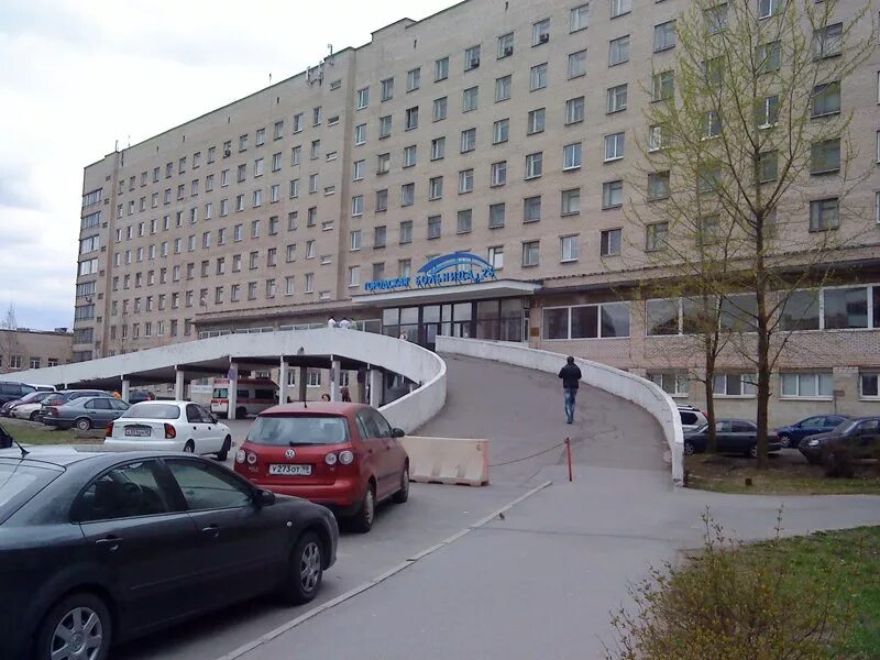 Диагностических лабораторий перечень. Спб гуз городская больница. Спб гуз городская больница. Эмблема 26 больницы спб. Городская больница 26 санкт-петербург.