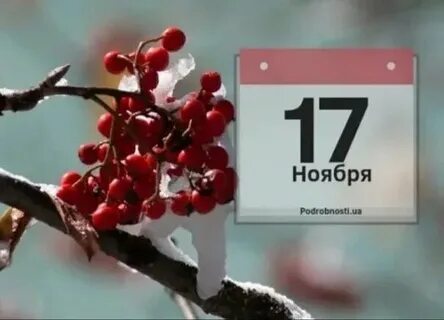 Какой сегодня день 17 ноября