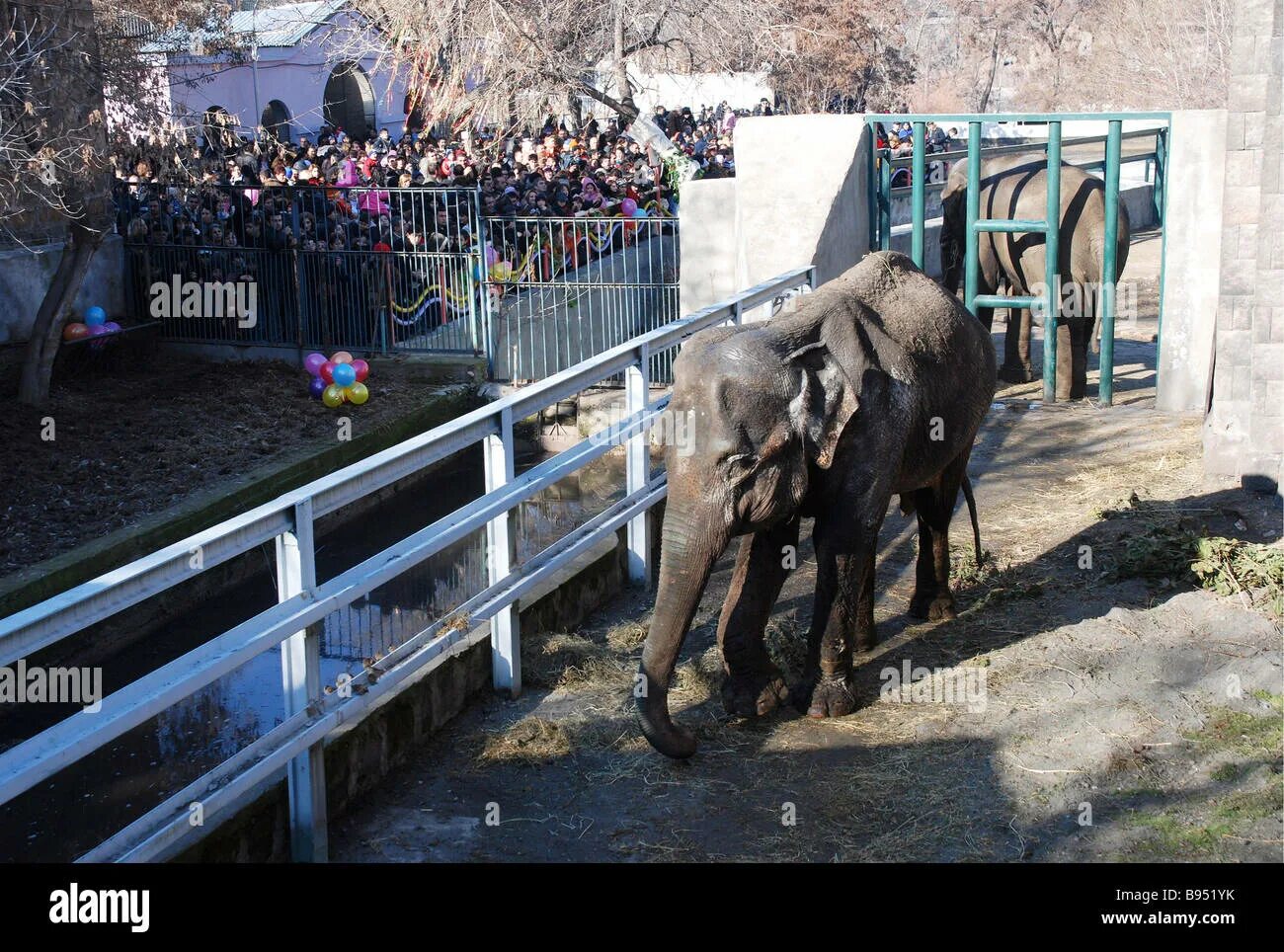 Зоопарк ереван. Ереван ереванский зоопарк. зоопарк в ереване zoo yerevan. какав ереван зоопарк. зоопарк в ереване животные.