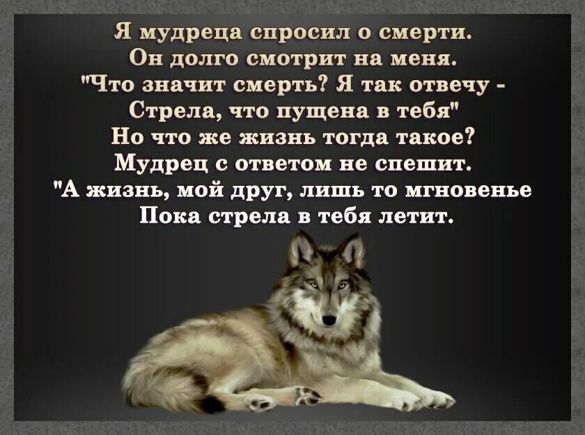 О чем думают перед смертью. Цитаты про смерть. Цитаты про жизнь и смерть. Цитаты о жизни и смерти со смыслом. Цитаты про смерть со смыслом.