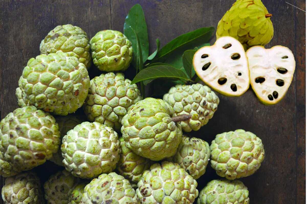 Плод в виде шишки. Сахарное яблоко аннона чешуйчатая. Аннона нойна. Черимойя растение. Экзотический фрукт похожий на шишку.