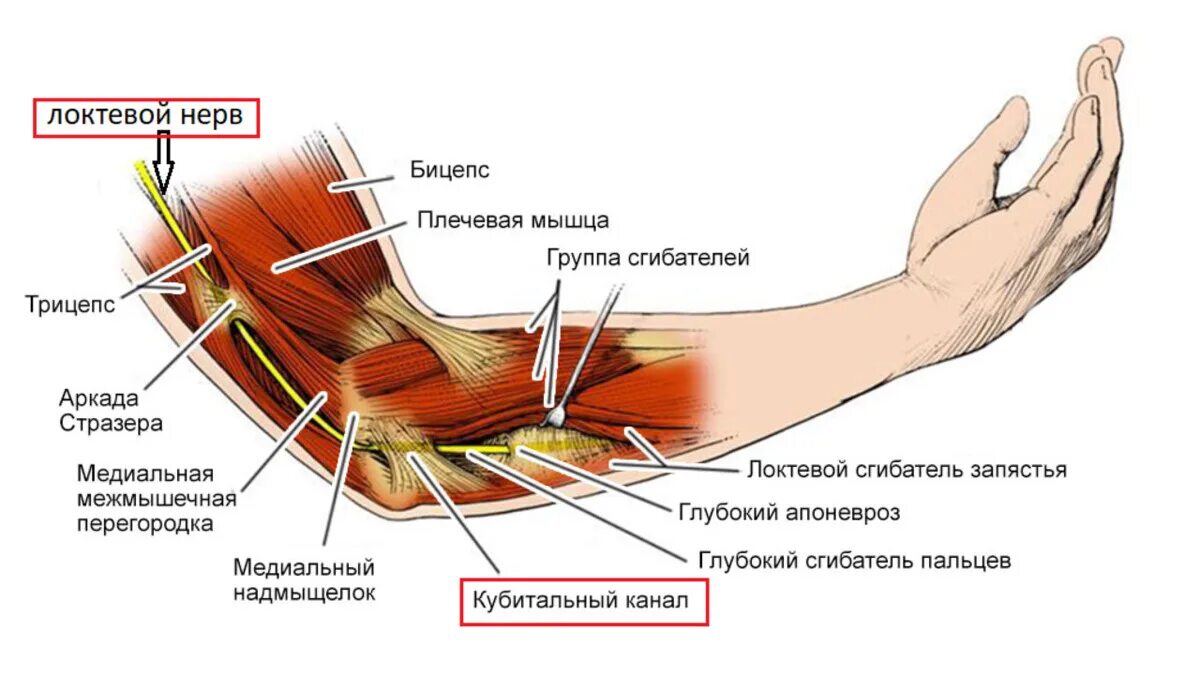 Операция локтя руки. Операция локтя руки
