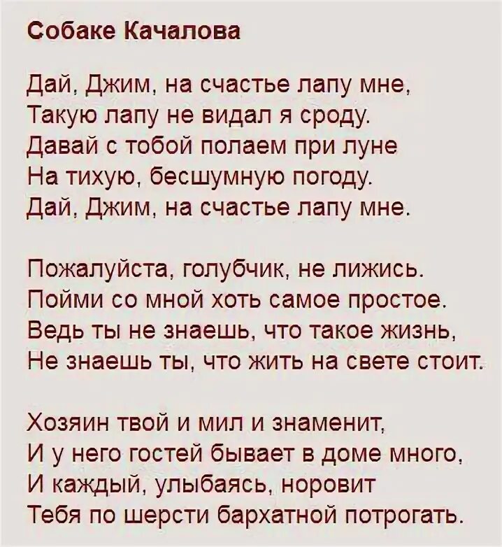 Стихотворение дай джим. Собаке Качалова Есенин. Есенин собаке Качалова стих. Стих Есенина собаке Качалова. Собаке Качалова Есенин текст стихотворения.