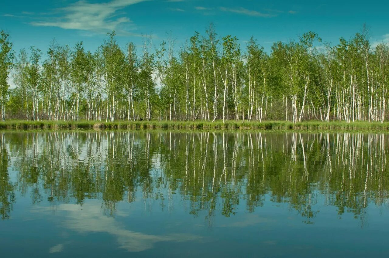 День медвежьих озер. Озеро святое Абанский район Красноярский край. Озеро Чертово Абанский район. Озеро Медвежье Абанский район. Озеро Медвежье Абанский район Красноярский край.