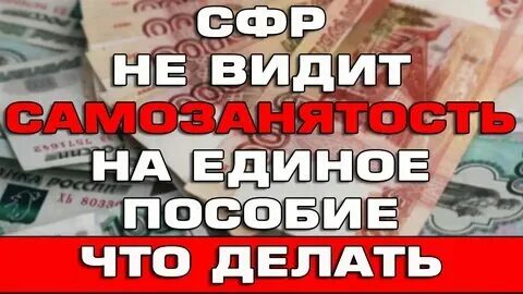Самозанятый может оформить единое пособие
