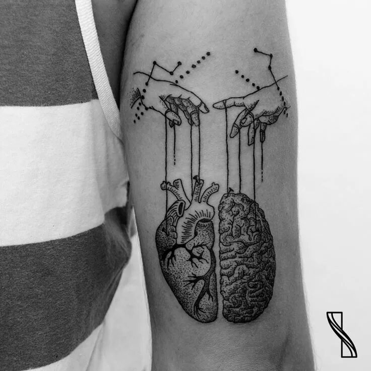 Тату сердце мозг. Тату сердце мозг. Мозг эскиз. Эскиз тату мозг и сердце. Тату сердце мозг.