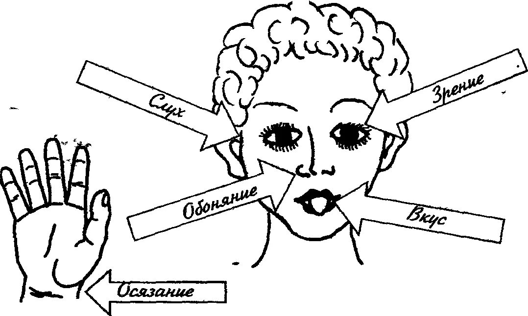 Придумайте какими способами. Способы восприятия информации. Способы восприятия информации человеком. Способы восприятия человека. Виды информации по способу её воспреятия человеком.