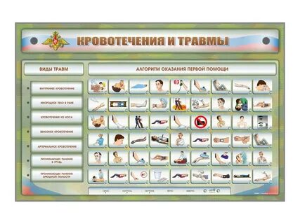 Оказание первой помощи зарница