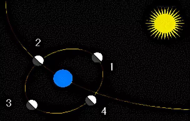 Движение Луны вокруг земли. Движение Луны вокруг солнца. Схема движения Луны вокруг земли. Схема вращения Луны вокруг земли.