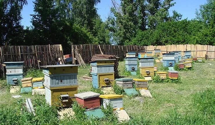Улей земле. Улей владимира петровича цебро. цебро методы пчеловождения. улей цебро. цебро пчеловод.