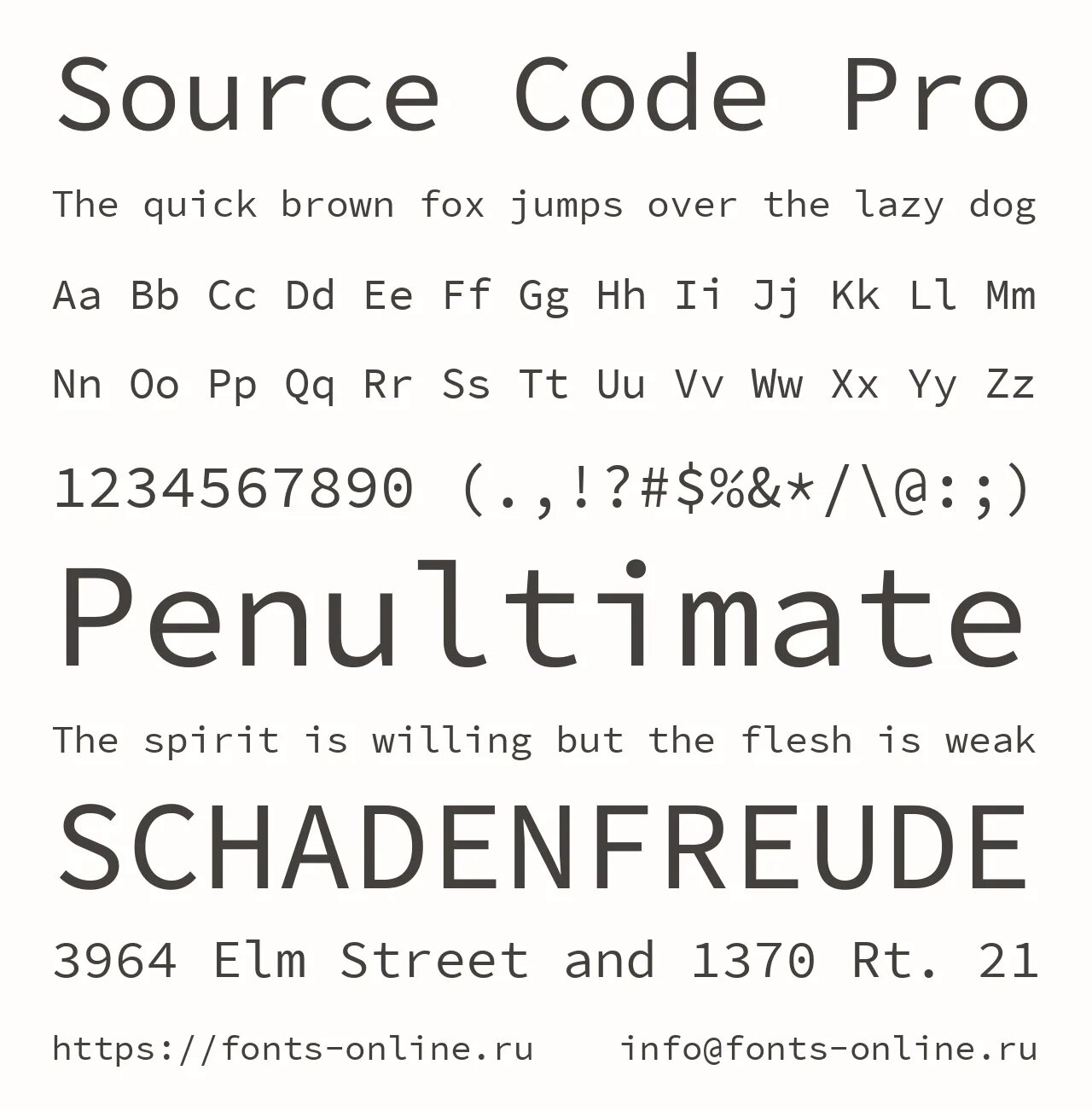 Code Pro шрифт. Source code Pro font. Шрифт Georgia Pro. Шрифт STS.
