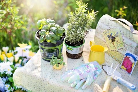 Gardening how