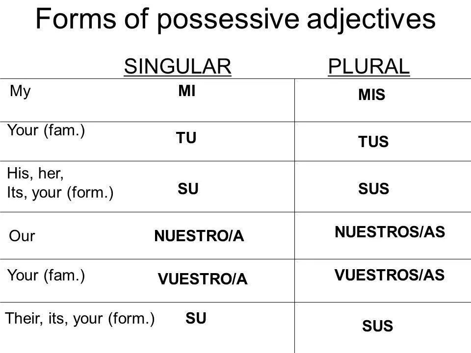 Possessive adjectives правила. We possessive adjective. Sentence possessive adjective. Личные местоимения possessive adjectives. Possessive adjectives таблица.