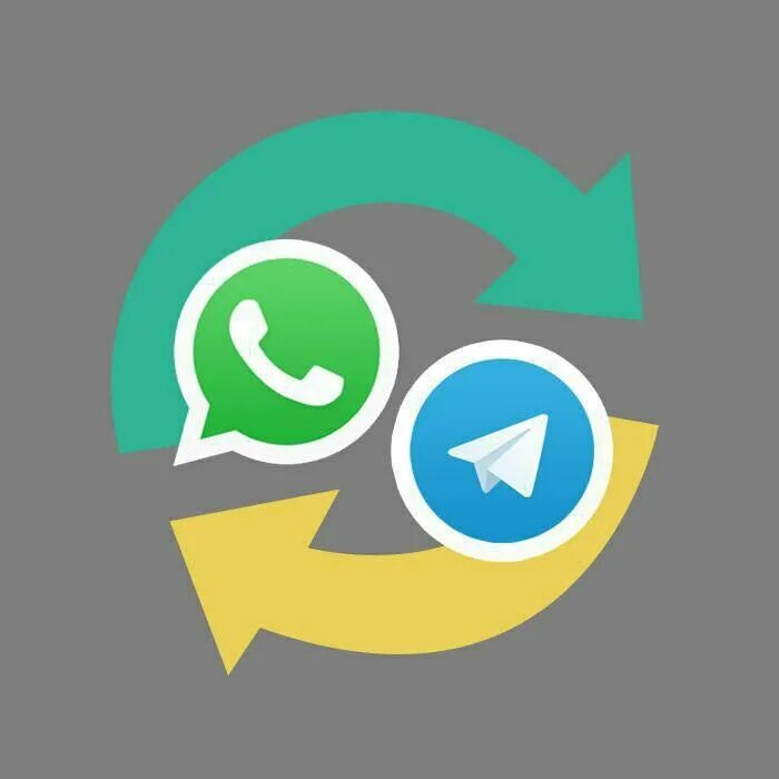 Видео из телеграм в ватсап. Whatsapp канал. иконки телеграм вац ап. логотип телеграм. телеграмм whatsapp.