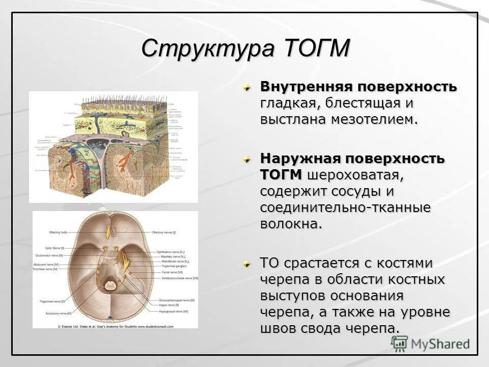 Сроки сращения переломов костей таблица. Перелом голени лучевой кости. Сросшийся перелом предплечья. Что пить чтобы быстрее срослись кости. Какая кость срастается быстрее.