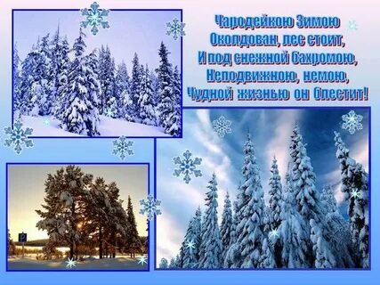 Презентация зима в лесу