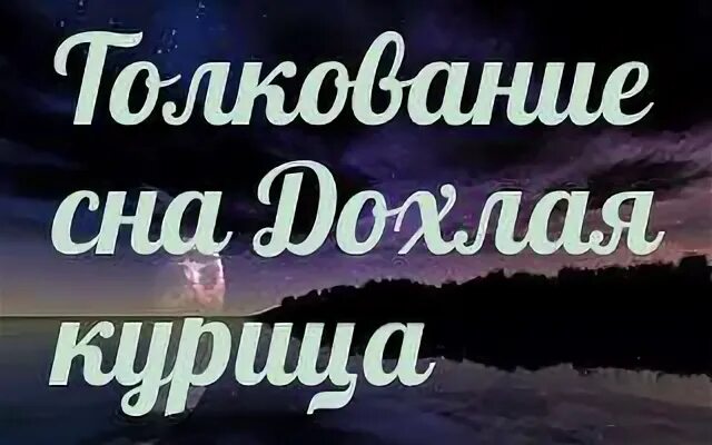 К чему снятся куры живые во сне. Сонник-толкование курицы. Курица во сне к чему снится. Приснились курицы сонник. К чему снится куры живые женщине.