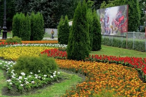 Цветы в приморском районе