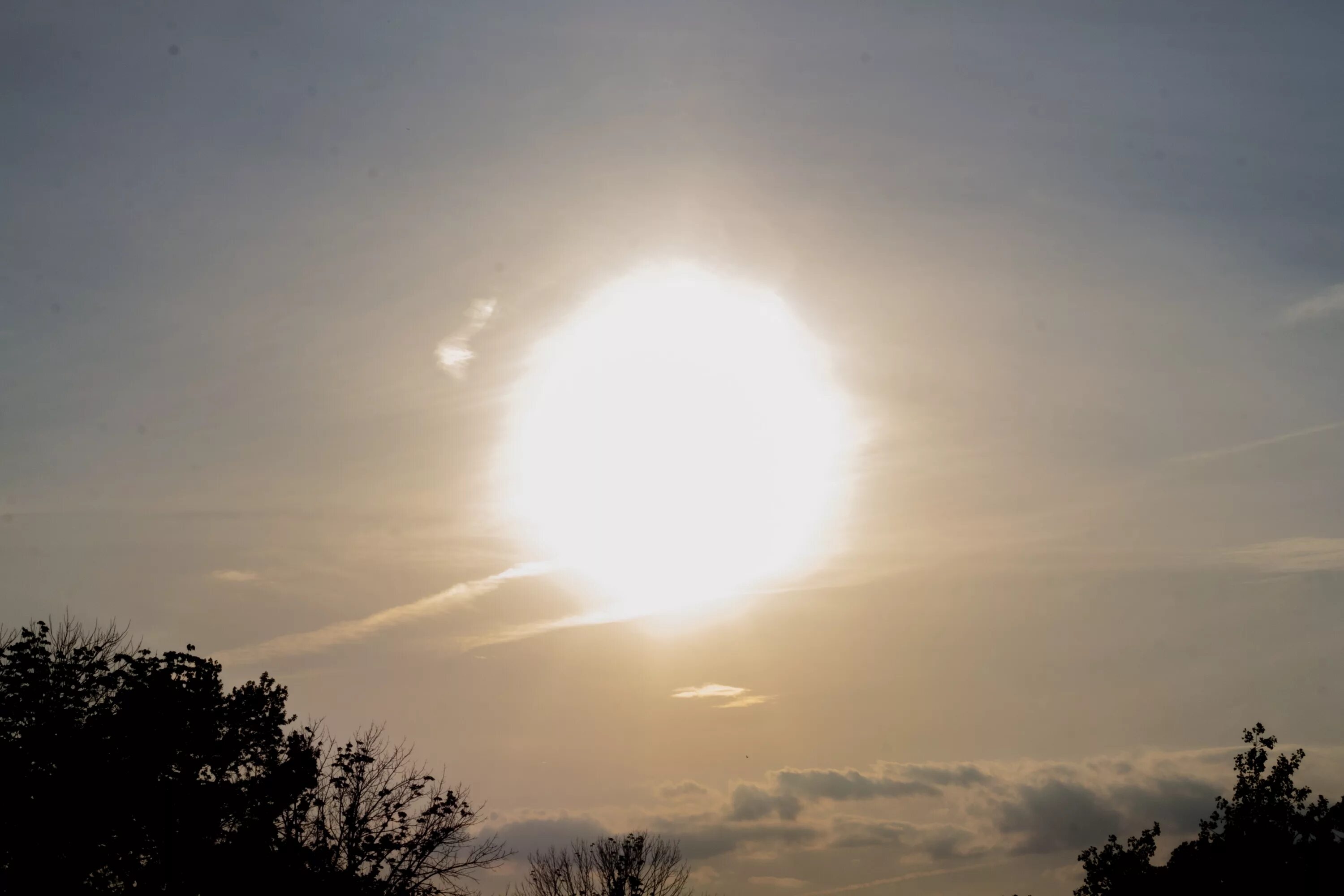 Белое солнце. Включи солнце белый. Включи солнце белый. Белое солнце. Белое солнце взошло над европой.