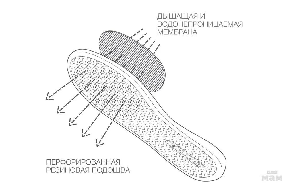 Подошва 6 букв. Geox с мембраной. Geox технология подошвы. Мембрана в подошве. Дышащая подошва.