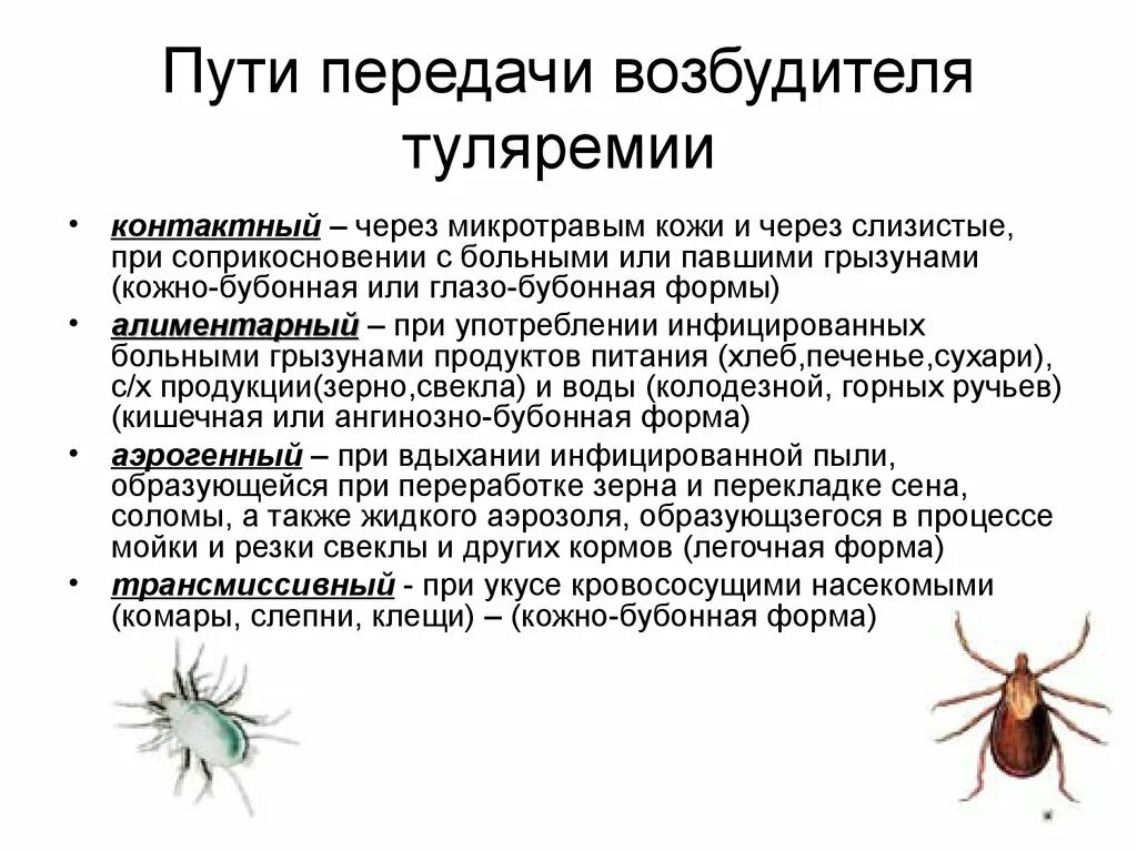 Инфекции передающиеся через укусы кровососущих насекомых. Туляремия механизм симптомы. Механизм заражения туляремией. Туляремия возбудитель пути передачи. Туляремия пути передачи и источник заражения.