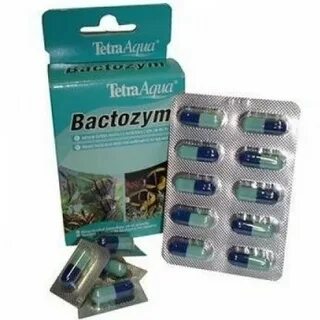 Tetra bacteria