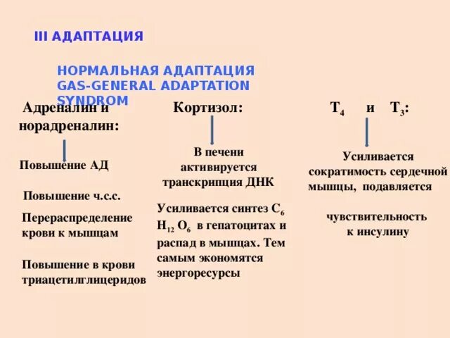 Нормальная адаптация