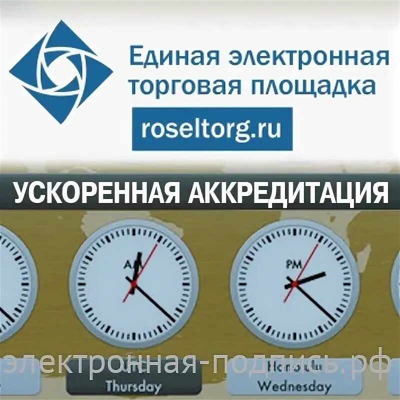 Росэлторг ЭЦП. Roseltorg ЭЦП. Росэлторг бизнес. 178 фз росэлторг