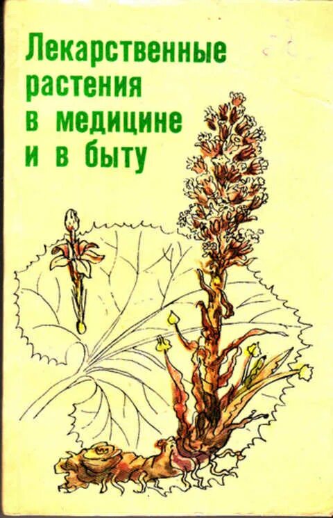 Какая трава фото - Coffeebull.ru