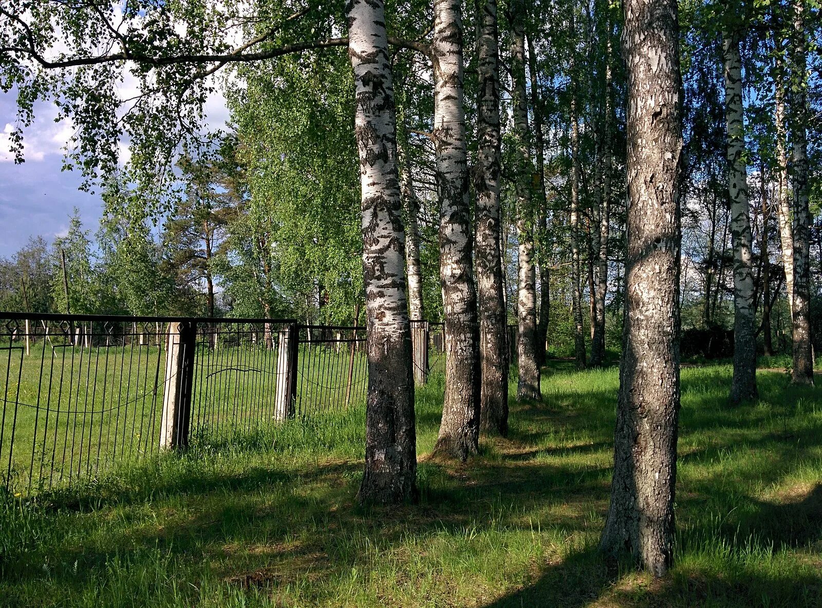 Погода пос роща