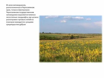 Заповедники курского края