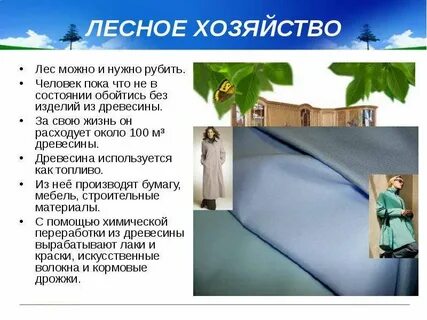 Лесное хозяйство включает