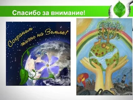 Экологический калейдоскоп