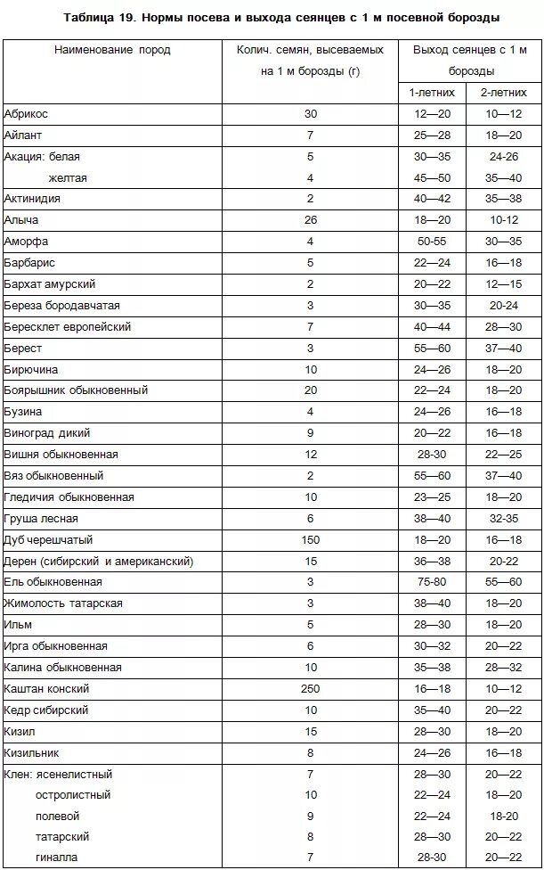 Сроки посева хвойных пород. Норма посева травы на 1 кв метр. Сколько семян в 1 грамме таблица. Норма высева овощных культур. Количество семян в 1 грамме таблица.