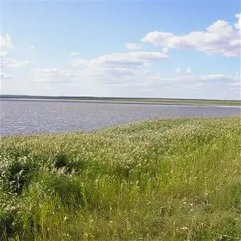 Медвежье курская область