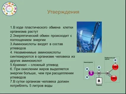 При пластическом обмене происходит