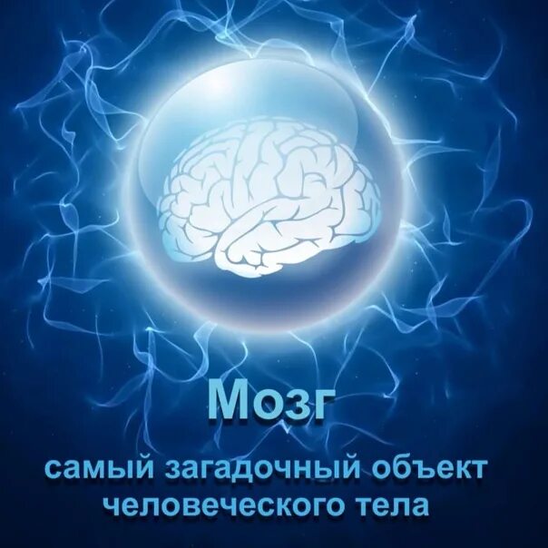 Интересные факты о мозге. Интересное про мозг. Интересные факты о мозге для детей. Интересные факты о работе мозга. O brain