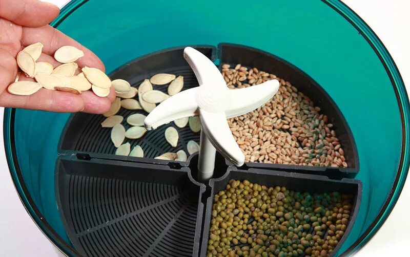 чистота семян. сортировка семян. очиститель семян зерновых. уральский научный центр запустил линию по сортировке семян. очистка и сортировка зерна.