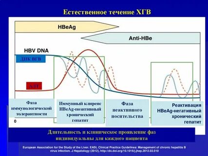 Естественное течение жизни