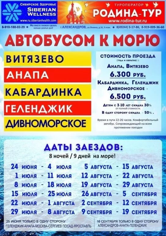 Автобусом к морю. Кабардинка Анапа автобус. Витязево Анапа автобус. Турагентство в Туле автобусом к морю. Родина тур александров афиша