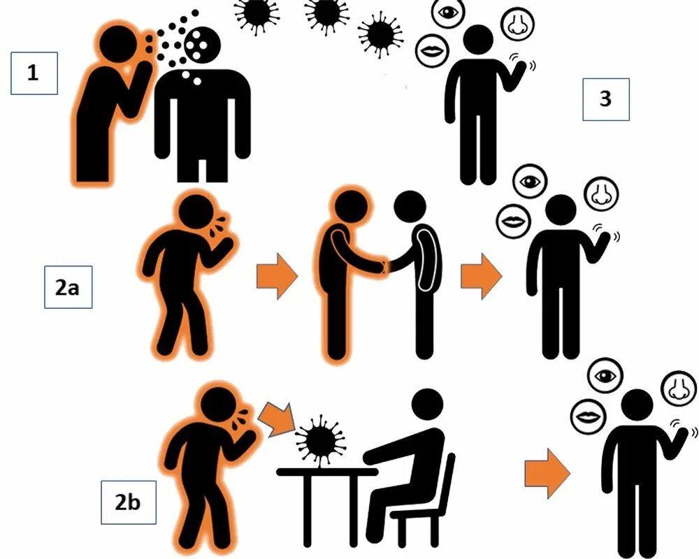 Передача орви. Пути передачи ОРВИ схема. Воздушно-капельный путь передачи коронавируса. Механизм передачи вируса схема. Вирус гриппа механизм передачи.