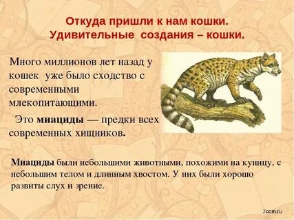Откуда присылают