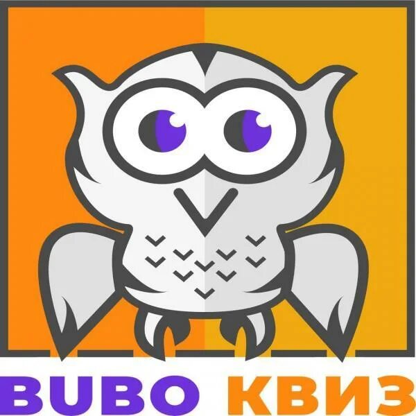 Бубо квиз. Bubo квиз. квиз бубо. квиз кот.