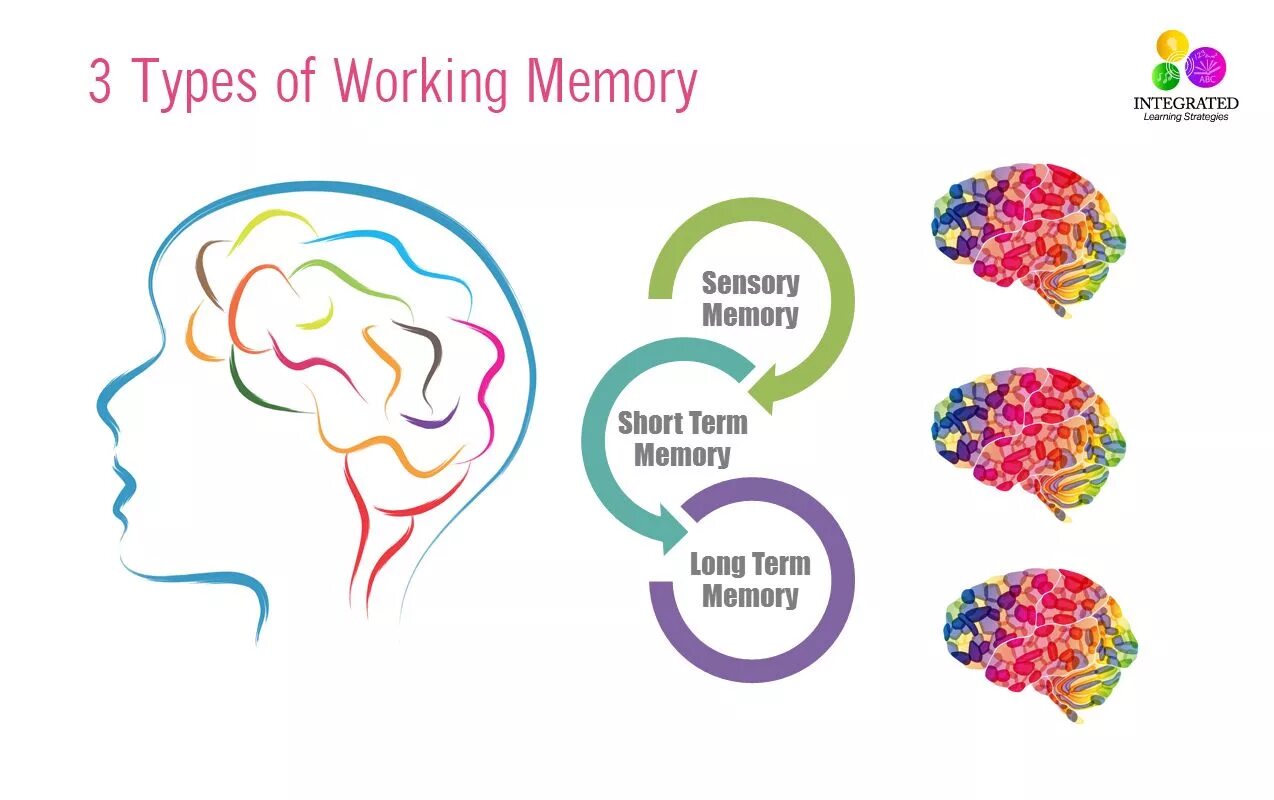 Article memory. Types of memory. types of memorizing. long term memory working memory. two types of memory.