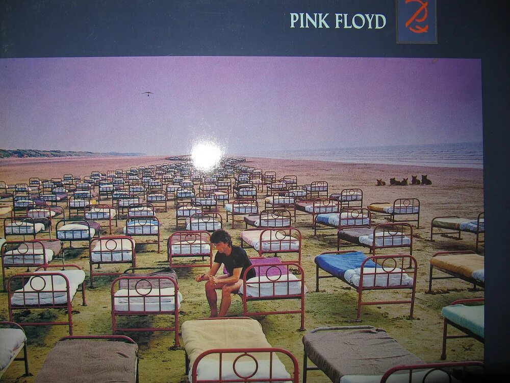 Momentary lapse of reasoning. Сторм Торгерсон a Momentary lapse of reason. 1987 - A Momentary lapse of reason. Pink Floyd a Momentary lapse of reason. Pink Floyd. 2021 (1987) - A Momentary lapse of reason. 2lp (Germany).