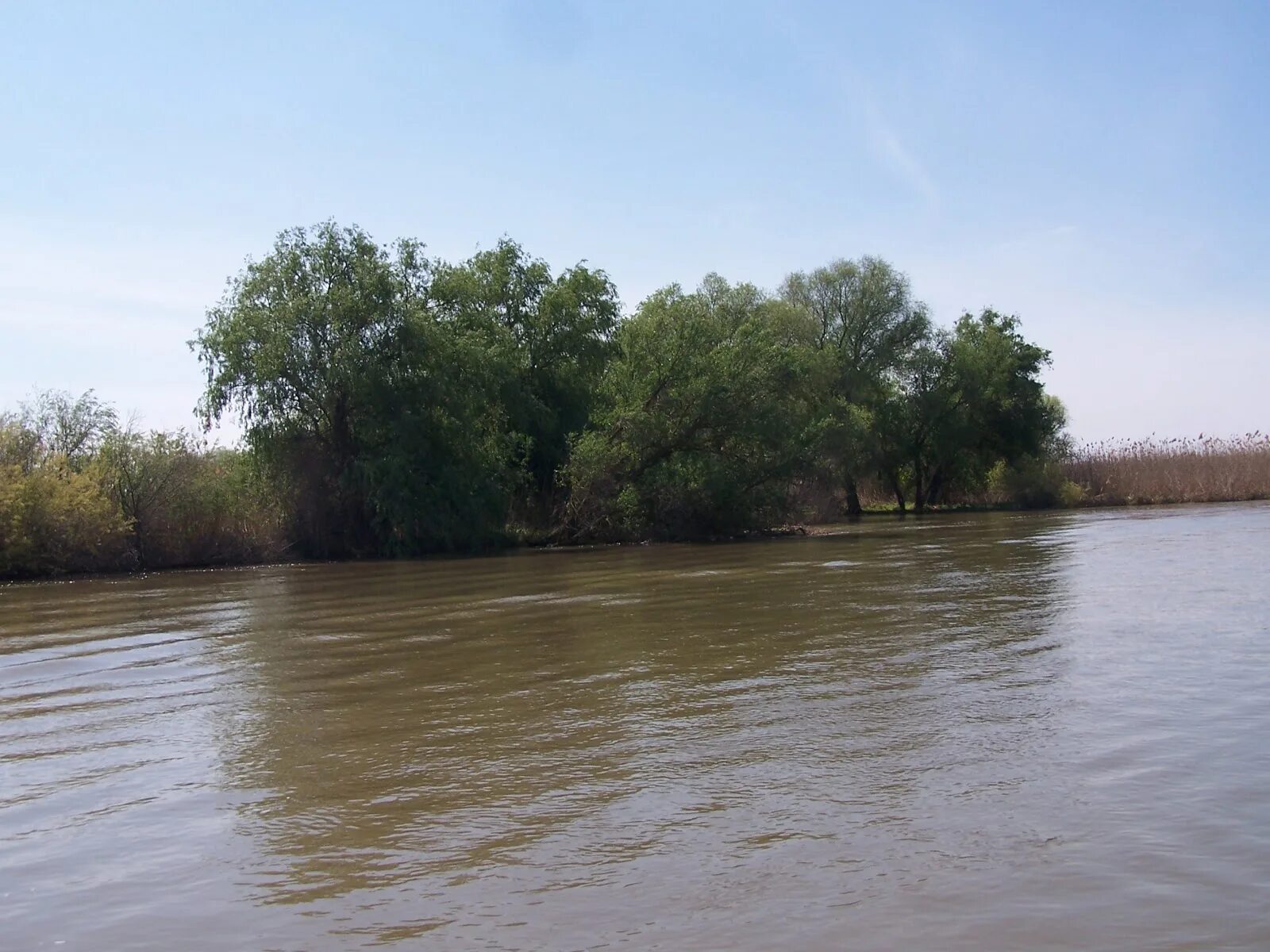 Погода в кировском районе астраханской области. Река Каныча Астрахань. Село солянка Астраханская область Ахтубинский район. Что такое Ерик в Астрахани. Ерик солянка Астрахань.