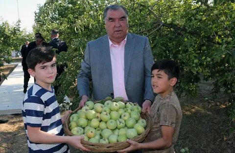 Родственники в таджикистане
