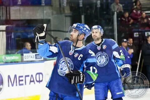 Хк динамо минск динамо москва трансляция