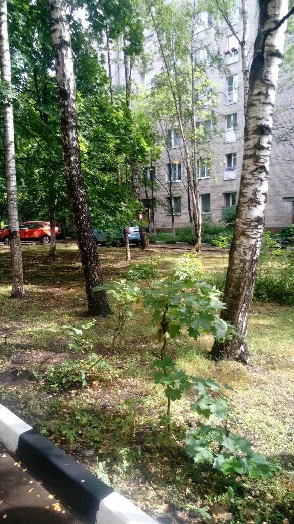 Сайт мкр заря. Микрорайон заря. микрорайон заря яблони. фото микрорайона заря.
